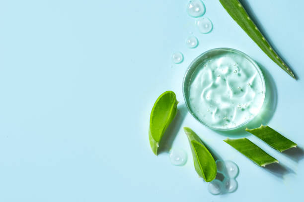 istock Green leaves on green background 1496668965