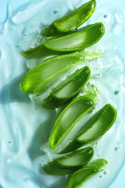 hojas de aloe vera en rodajas en gel - áloe fotografías e imágenes de stock