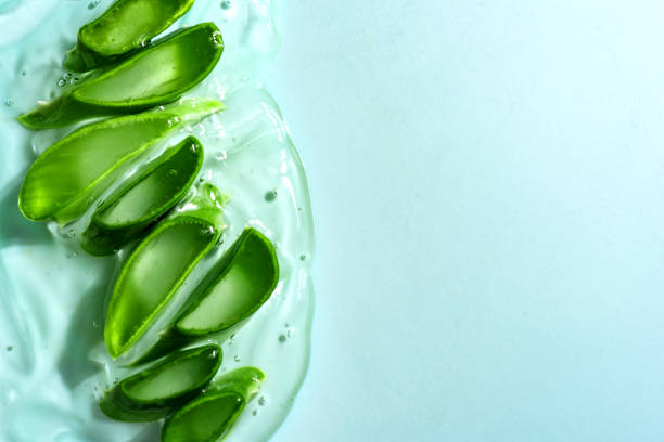 istock Aloe vera sliced leaves in gel 1496669037