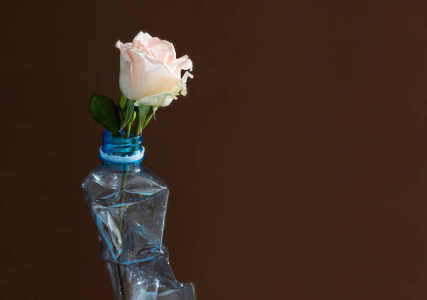 Empty plastic bottle with a rose flower inside on a brown background. Save the planet from plastic pollution concept. Front view. Selective focus. Copy space.