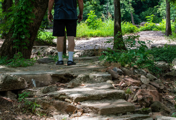 istock A walk in a country park enjoying nature 1496674896