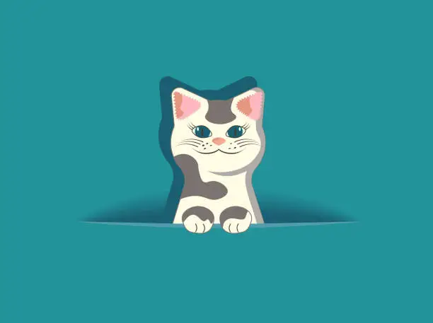 Vector illustration of Hiding out spotty cat head sticks out of hole on empty blue background