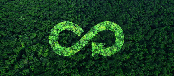 istock Circular economy concept. Sharing,reusing,repairing,renovating and recycling existing materials and products as much possible. Energy consumption and CO2 emissions are increasing. 1496676224