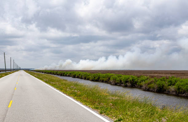 istock Smoke on the horizon of a long road 1496680192