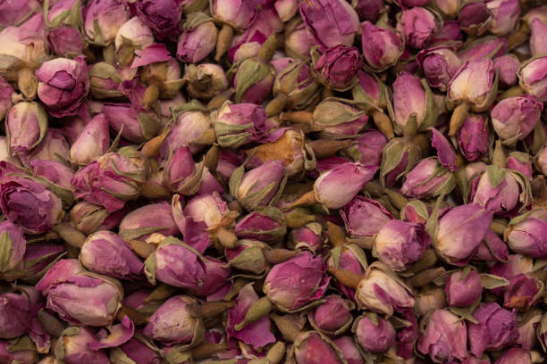 istock Dry tea roses isolated on white background. 1496681839