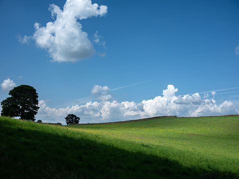 a picturesc landscape in the same style as the windows XP screensaver / background