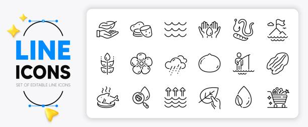 ilustraciones, imágenes clip art, dibujos animados e iconos de stock de evaporación, agua segura e iconos de línea de rocío de hojas. para aplicación web. vector - flag waving weather rain