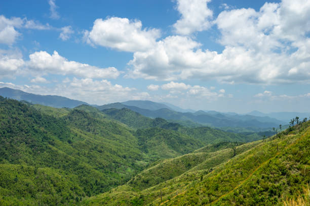 istock Beautiful scenic of mountain in layer with green forest covered 1496683764