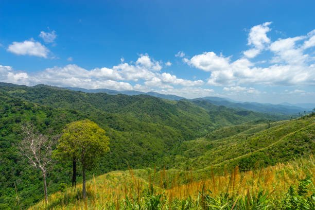 istock Beautiful scenic of mountain in layer with green forest covered 1496683765