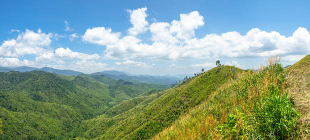 istock Beautiful scenic of mountain in layer with green forest covered 1496683780