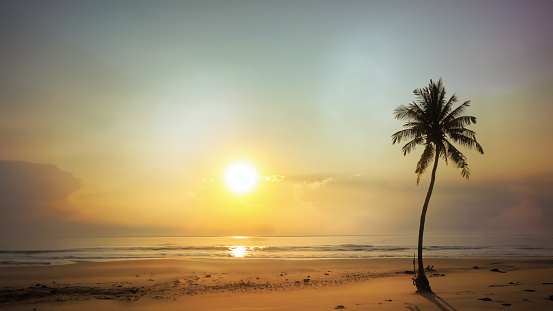 coconut tree and sunset beach in thailand