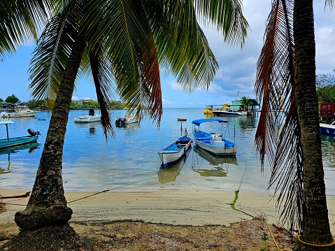 Palm trees and boats on a beach