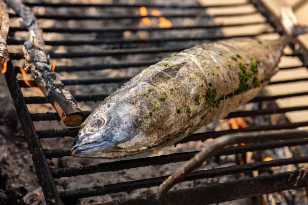 A photo showcasing the process of grilling tonnarella fish.