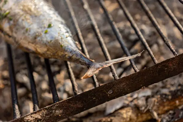 A photo showcasing the process of grilling tonnarella fish.