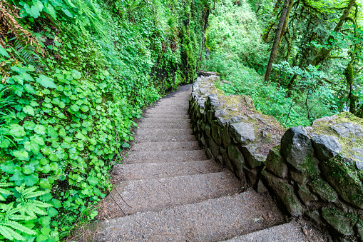 Steps at Lower North Falls at Silver Falls State Park in Oregon State.