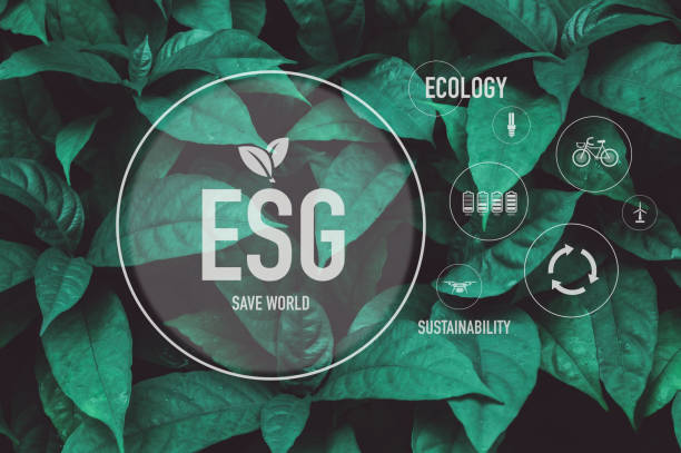istock Neutral and Esg fresh air concept natural environment Climate-neutral long-term strategy Emissions target with green mesh icon centered on hand cover and green background. 1496689157