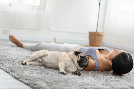 Asian woman doing yoga with her pug breed dog in a peaceful setting, cultivating a sense of harmony and wellness in both body and mind. Self Care Concept.