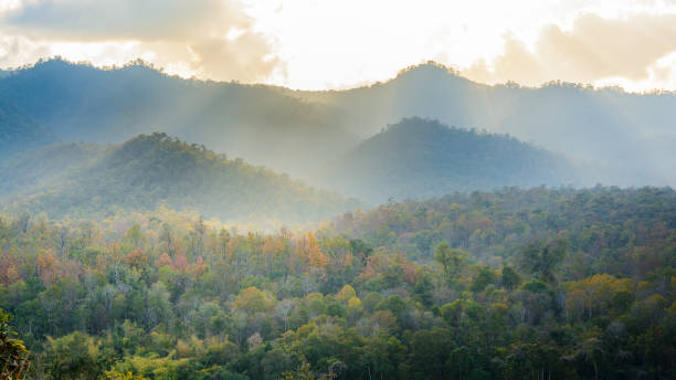 istock Trevel in Thailand nature 1496690595
