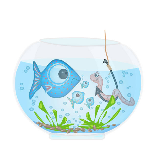 illustrazioni stock, clip art, cartoni animati e icone di tendenza di pesce e verme sul gancio in acquario isolato su sfondo bianco. pesca nella boccia del pesce. i pesci stupiti guardano il lombrico sull'amo da pesca. esca esca pesci esca. concetto di pesca in stile cartone animato. illustrazione vettoriale stock - worm cartoon fishing bait fishing hook