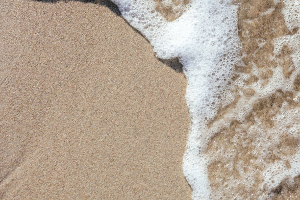 istock Sandy peregrine with sea foam with space for text. 1496693177