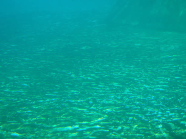 Deep blue sea surface seen from under water, underwater abstract fractal waves and rays of sunlight shine through.
