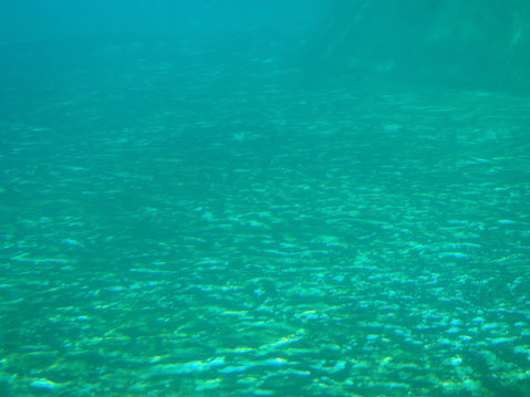 Deep blue sea surface seen from under water, underwater abstract fractal waves and rays of sunlight shine through.