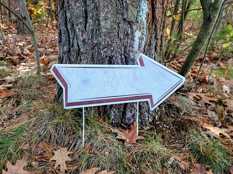Arrow ground stake sign by tree trunk