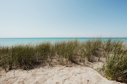 Sandy beach and the horizon over the water at Lake Huron.