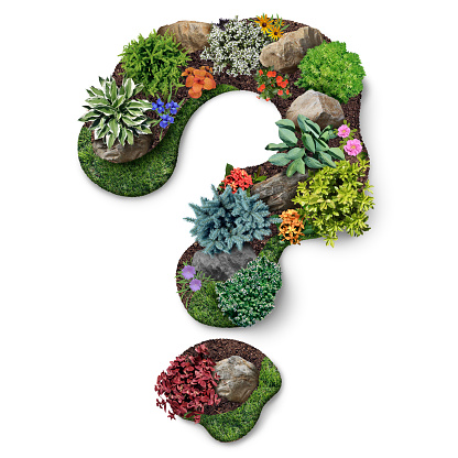 Lawn Care Question and landscaping questions as groundskeeping as a rock garden with flowers and evergreen bushes as outdoor natural planting design for landscaper or lawn mowing symbol.