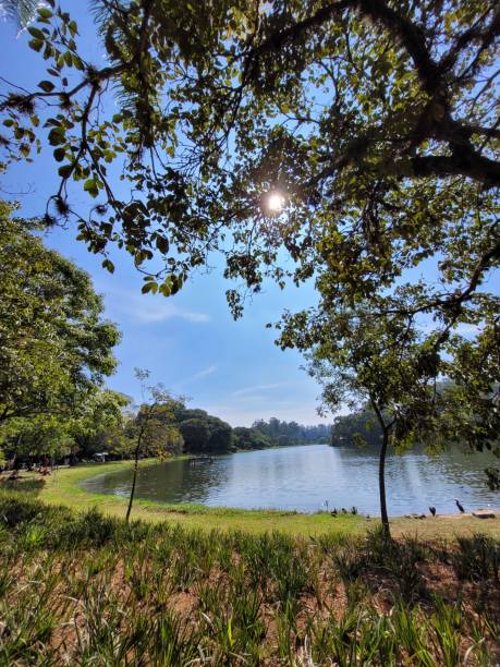 istock Ibirapuera Park Lake 1496708512