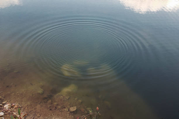 石を湖の水面に投げ捨てることによる丸い水の波紋 - water surface standing water waters edge water ストックフォトと画像