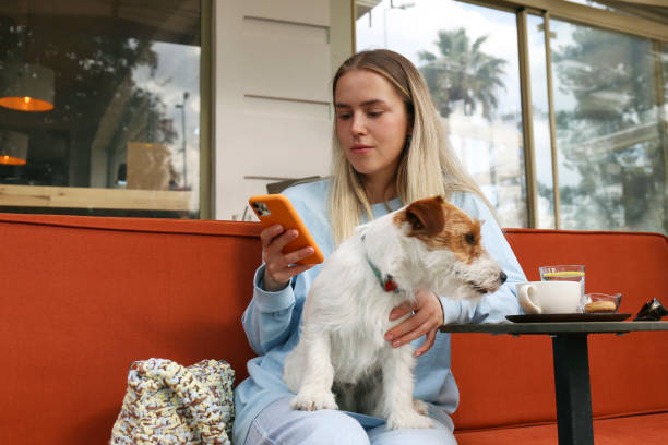 Blonde female sitting at the coffeehouse patio with her pet. stock photo