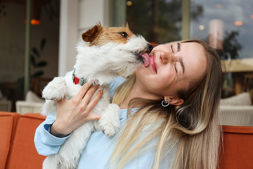 Wire haired jack russell terrier licking a cheek of his joyful woman outside of the coffee shop. Young woman and her dog playing outdoors. Copy space, background.