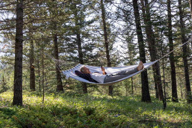 istock Senior male relaxes in a hammock in the forest 1496719778