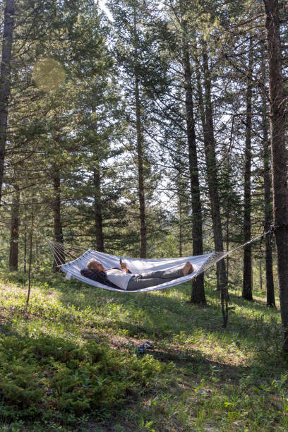 istock Senior male relaxes in a hammock in the forest 1496720095