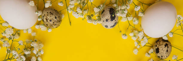 istock Easter background, various eggs on a yellow background, decorated with natural botanical elements, flat lay, view from above, empty space for text 1496720323