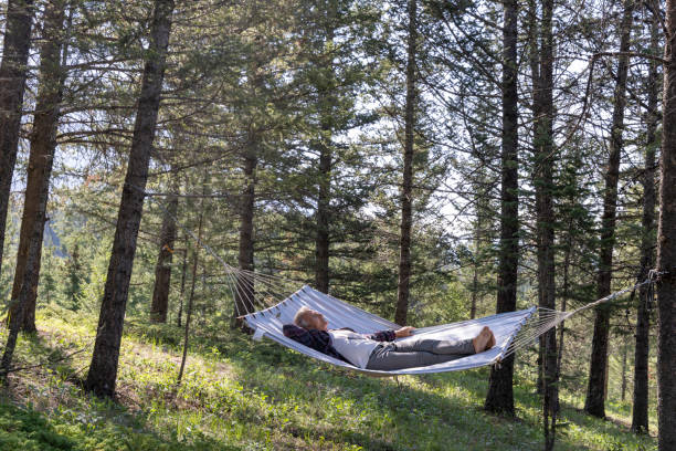 istock Senior male relaxes in a hammock in the forest 1496722033