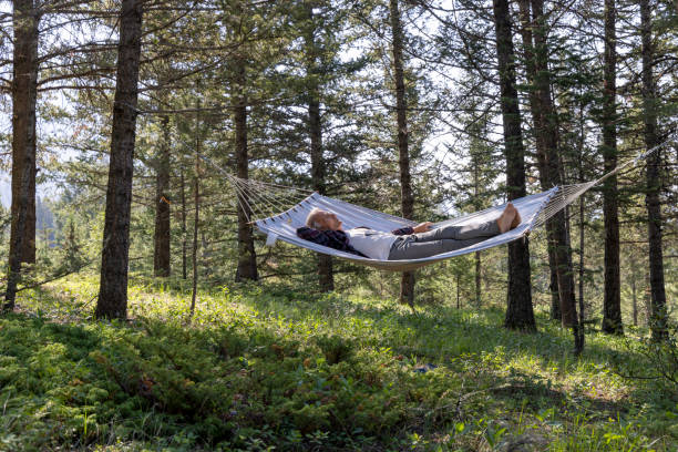 istock Senior male relaxes in a hammock in the forest 1496722086