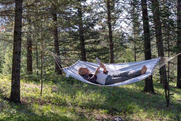 istock Senior male relaxes in a hammock in the forest 1496723181