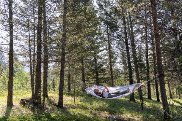 istock Senior male relaxes in a hammock in the forest 1496724150