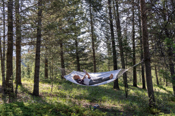 istock Senior male relaxes in a hammock in the forest 1496725382