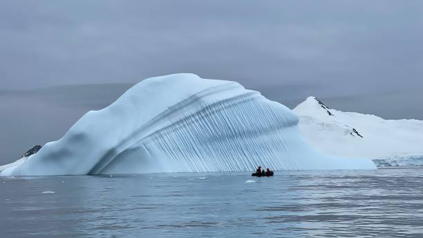 istock Ice Floe Viewing in Marguerite Bay, Antarctica 1496725529