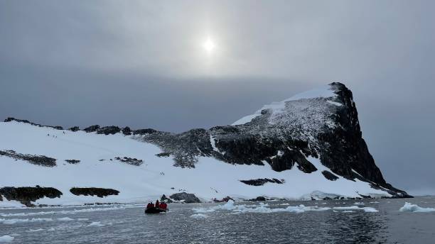 expeditions-teamwanderung auf der arctowski-halbinsel, hafen von orne - penguin chinstrap penguin antarctic peninsula ice floe stock-fotos und bilder