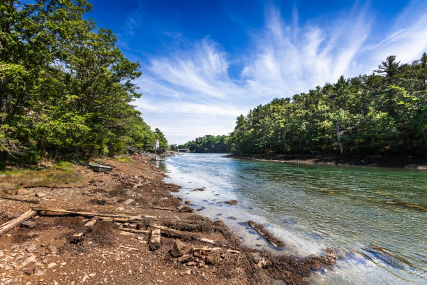 istock Chauncey Creek at low tide 1496727990