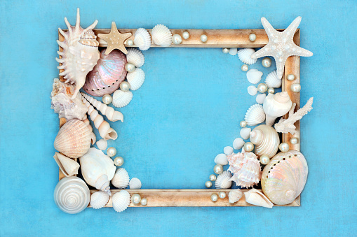 Sea shell and pearl abstract gold picture frame design on mottled blue background. Natural nature design with large collection of shells.