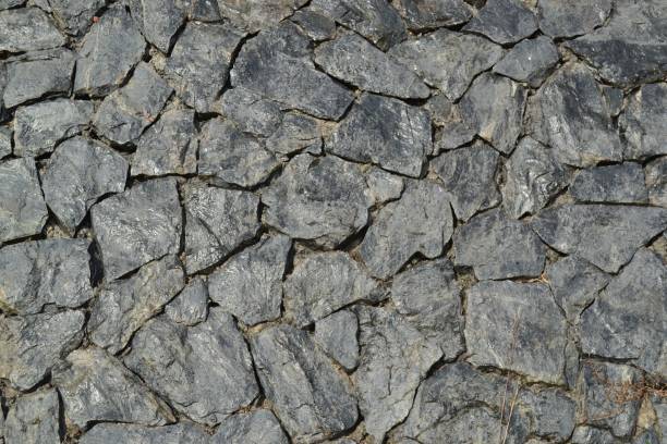 the large group of rocks are growing in the ground near each other - solidness imagens e fotografias de stock