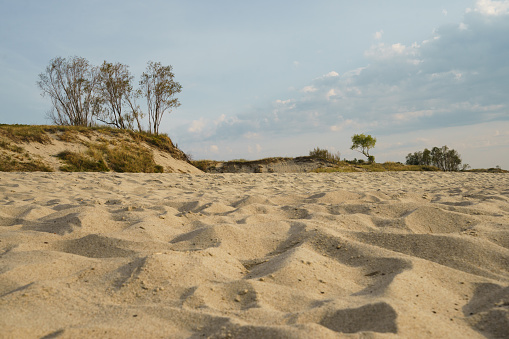 Beautiful sandy dunes of Baltic Spit. Sunny day, Calmness, peaceful in nature. Soft blue, yellow, green colors.