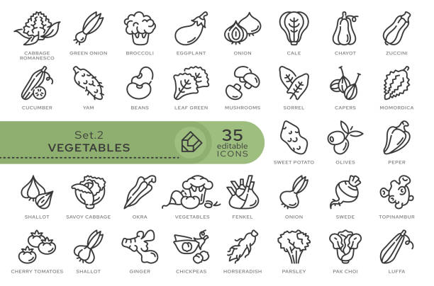 ilustraciones, imágenes clip art, dibujos animados e iconos de stock de establecer iconos verduras 02 - rutabaga