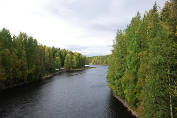 istock beautiful autumn landscape. lake view surrounded by forest 1496738427