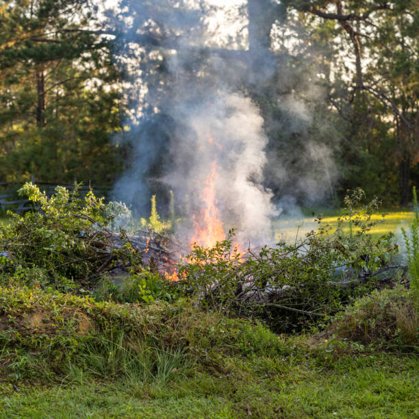 unkraut verbrennen in einer müllgrube - fire pit fire camping burning stock-fotos und bilder